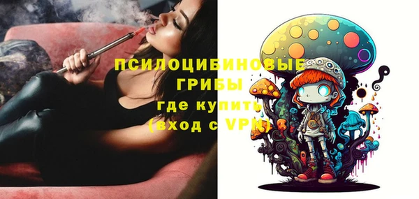 трава Арсеньев