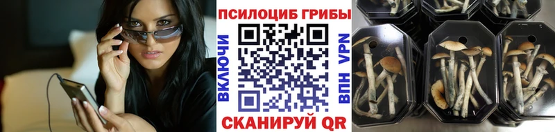 Галлюциногенные грибы GOLDEN TEACHER  Купить где  Верхний Уфалей 
